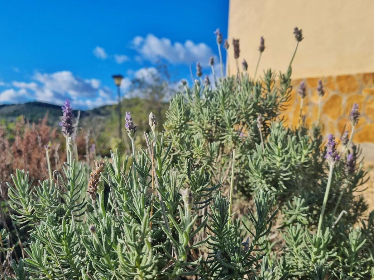 Finca Llambrich L'Ametlla de Mar Eksteriør billede