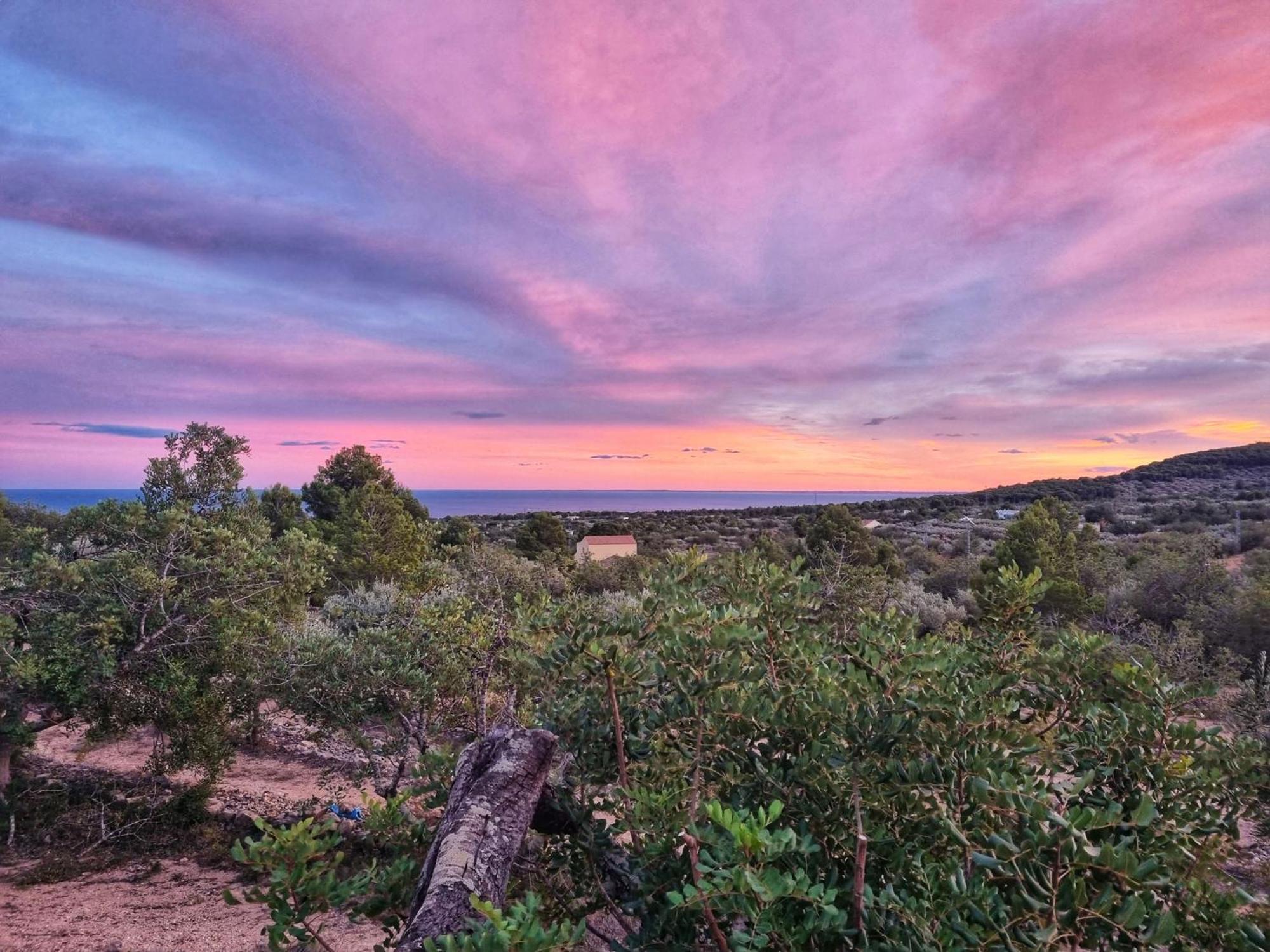 Finca Llambrich L'Ametlla de Mar Eksteriør billede