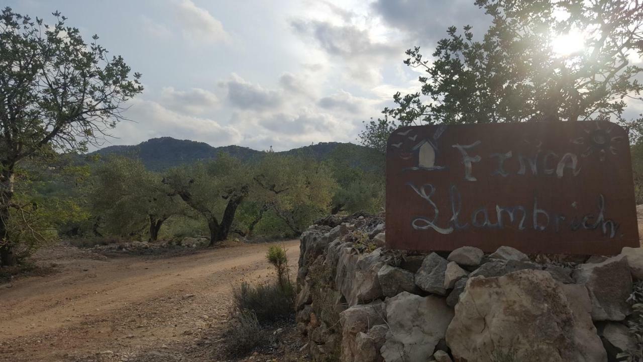 Finca Llambrich L'Ametlla de Mar Eksteriør billede